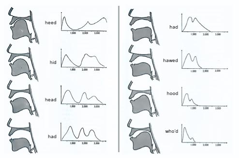 Acoustic Phonetics