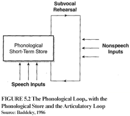 Evidence for the Phonological Loop