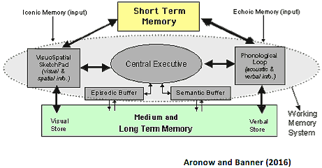 Short Term Memory